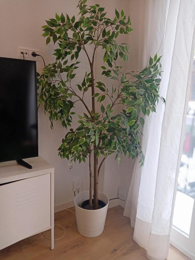Midtown Sweet Home Alicante Esterno foto